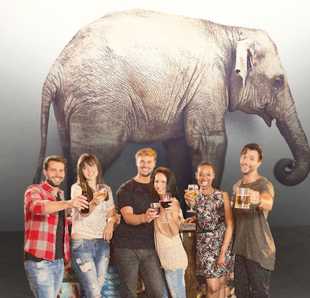 The elephant in the room the destructiveness of alcohol, which is popular everywhere. 