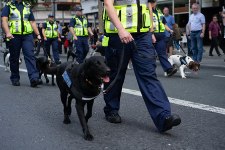 Police with a dogs.