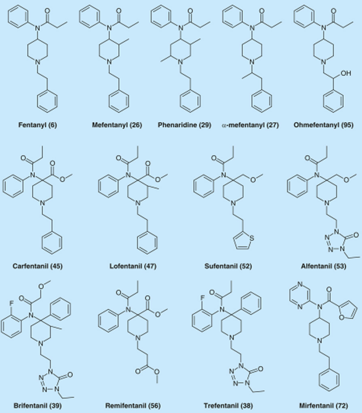 Diagrams of fentanyl and analogues. 