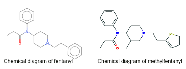 A diagram showing the tiniest molecular differences between two forms of fentanyl. 