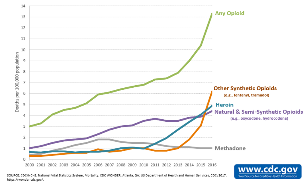 Opioid deaths stats