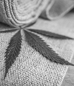 Fabric made of hemp marijuana