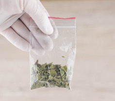 synthetic marijuana leaves
