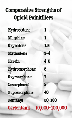 Comparative strengths of Opioid Painkillers