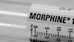 morphine in shot form