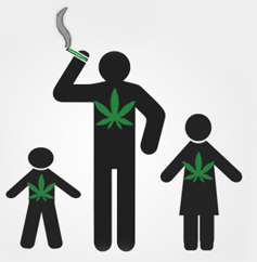Adults smoking marijuana around children results in THC in children’s blood. 