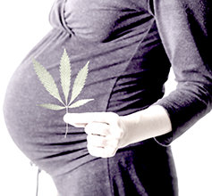 Pregnant woman holding Marijuana leave. 