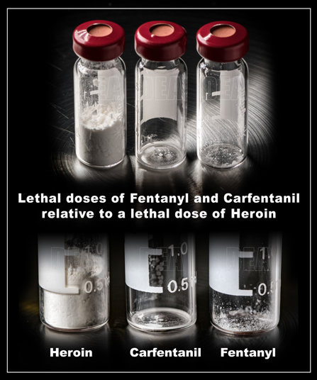 Fentanyl Carfentanil Heroin Lethal Dose