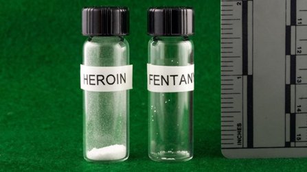 A typically fatal dose of fentanyl compared to a fatal dose of heroin.