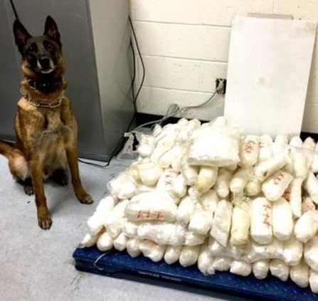 More than two hundred pounds of methamphetamine were seized in Arizona in July 2019 with the assistance of a drug-sniffing dog.