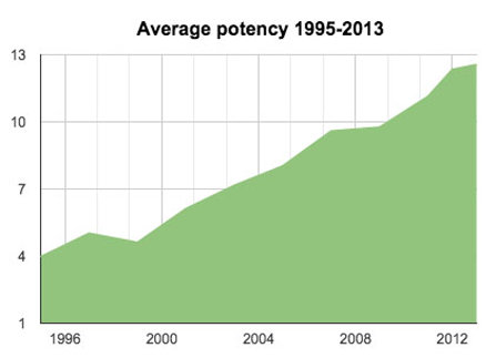 Marijuana potency chart 1995 to 2013