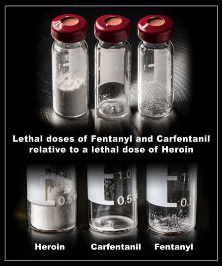 Lethal dose fentanyl heroin and carfetanyl