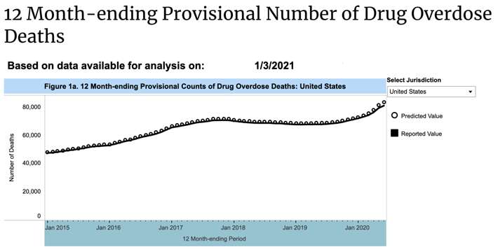 12 month drug overdose deaths