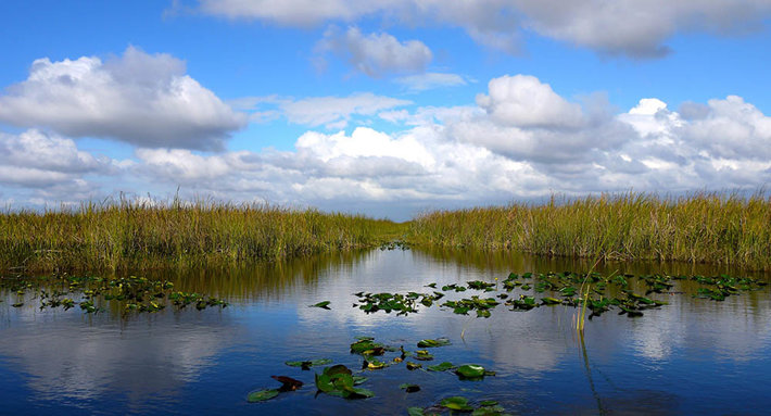 Everglades in Homestead Florida