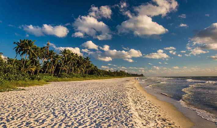 beach on the coast of Florida