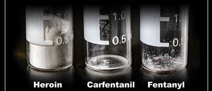 Fentanyl, Carfentanil and Heroin lethal doses