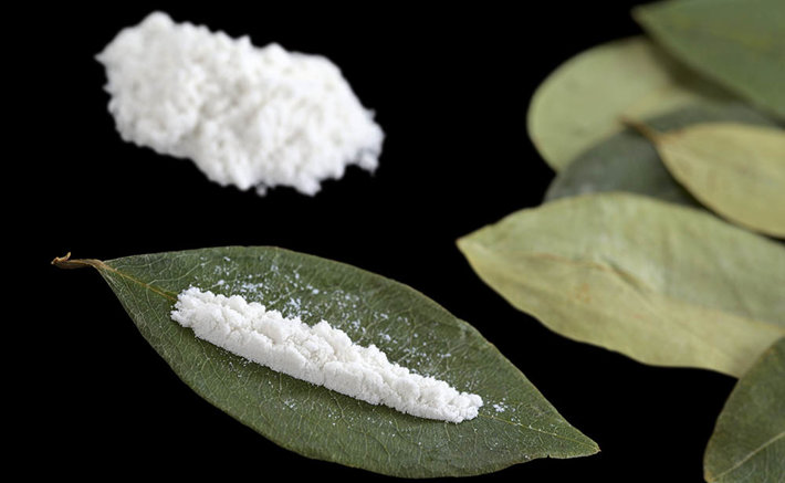 cocaine and coca leaves