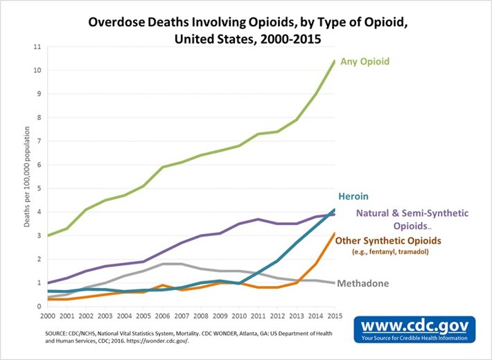 Overdose deaths by type of drug. 