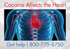 Cocaine Affects the Heart